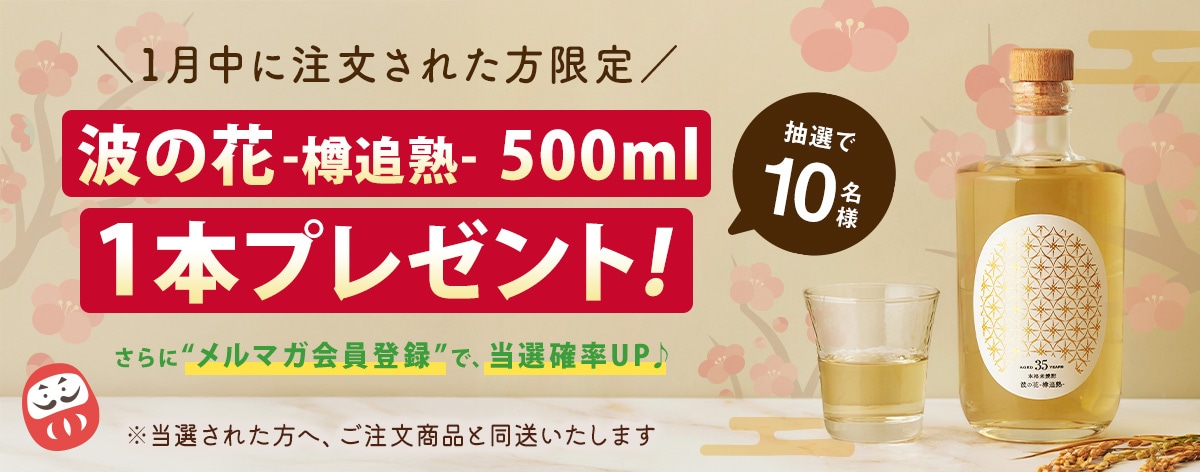 先行案内】年始のお年玉キャンペーン、ひと足早くお知らせします